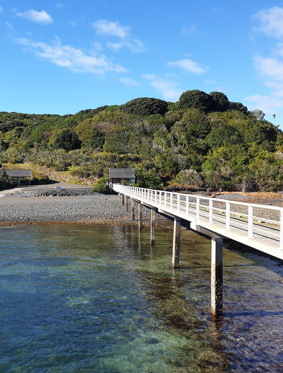 Tiritiri Matangi Auckland