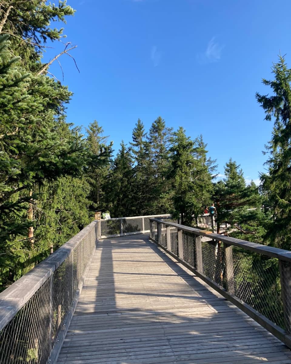 Treetop Trail at Lipno, Czech Republic Treetop Trail at Lipno, Czech Republic