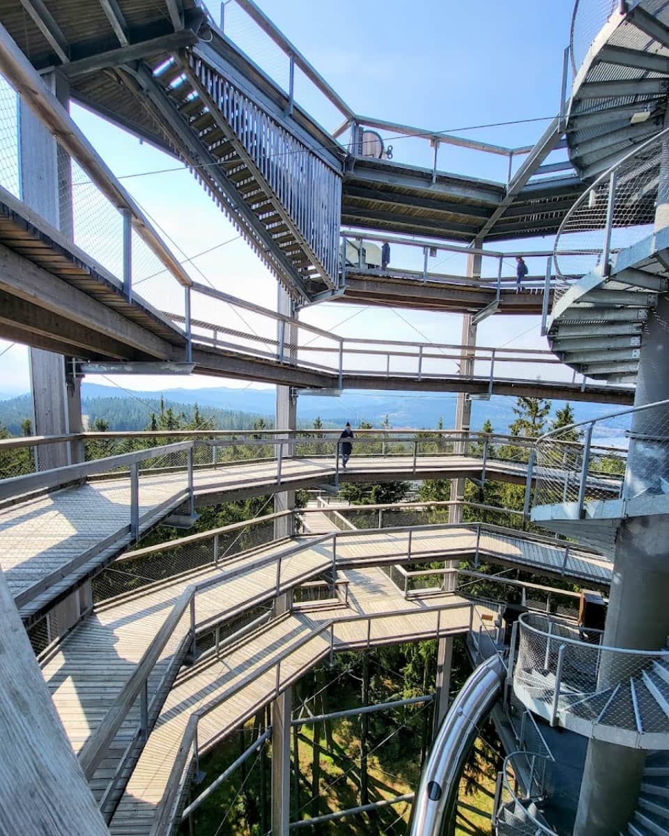 Treetop Trail at Lipno, Czech Republic Treetop Trail at Lipno, Czech Republic