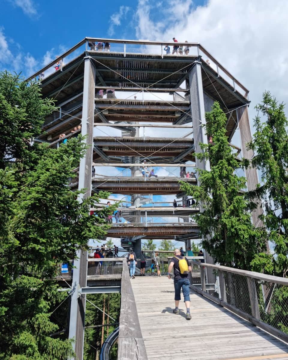 Treetop Trail at Lipno, Czech Republic Treetop Trail at Lipno, Czech Republic