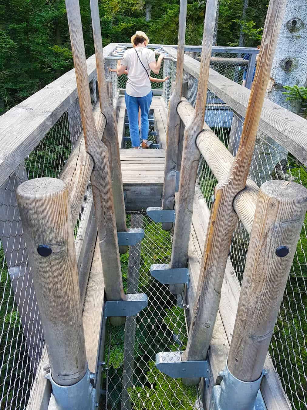 Treetop Walk, Germany Treetop Walk, Germany