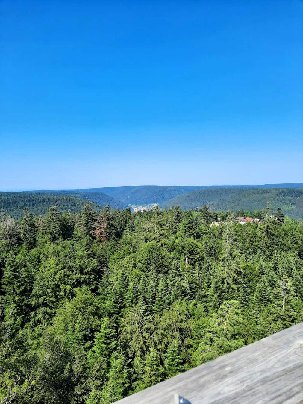 Treetop Walk Panoramic View, Germany Treetop Walk Panoramic View, Germany