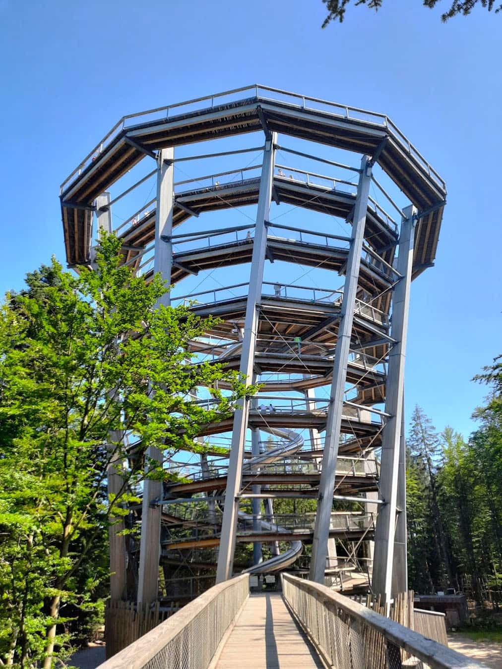 Treetop Walk Tower, Germany Treetop Walk Tower, Germany