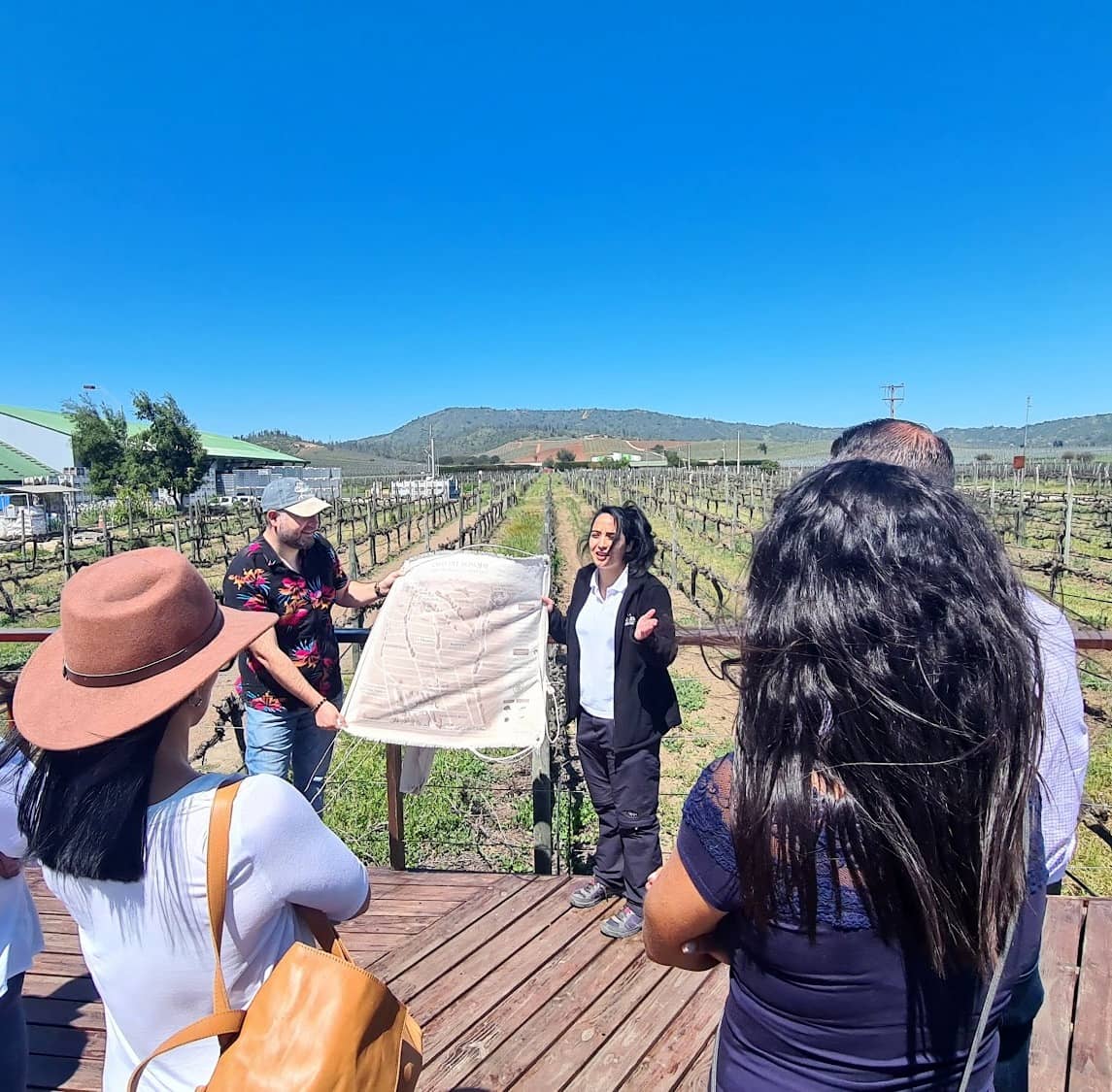 Winery Casas del Bosque, Chile