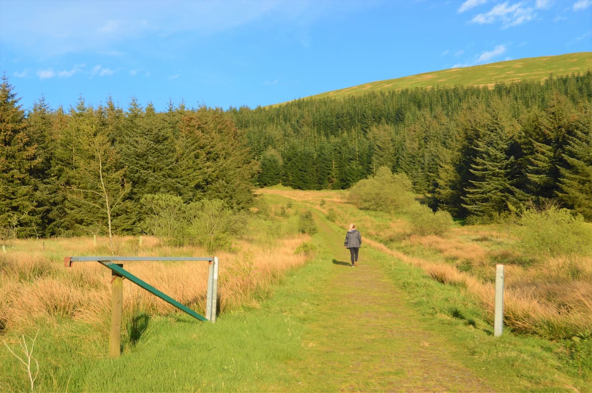 Campsie Fells Glasgow Campsie Fells Glasgow