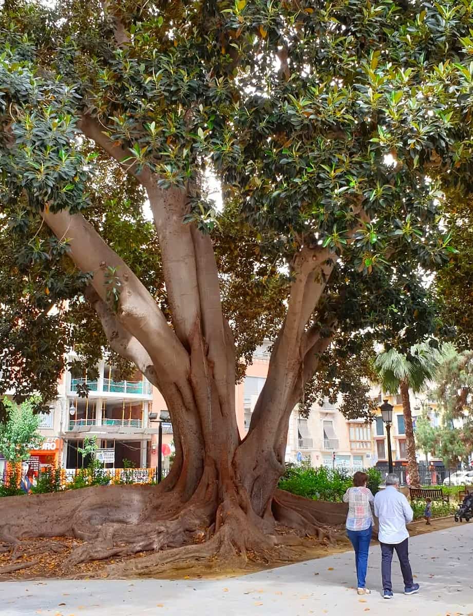 Floridablanca Gardens Murcia Floridablanca Gardens Murcia