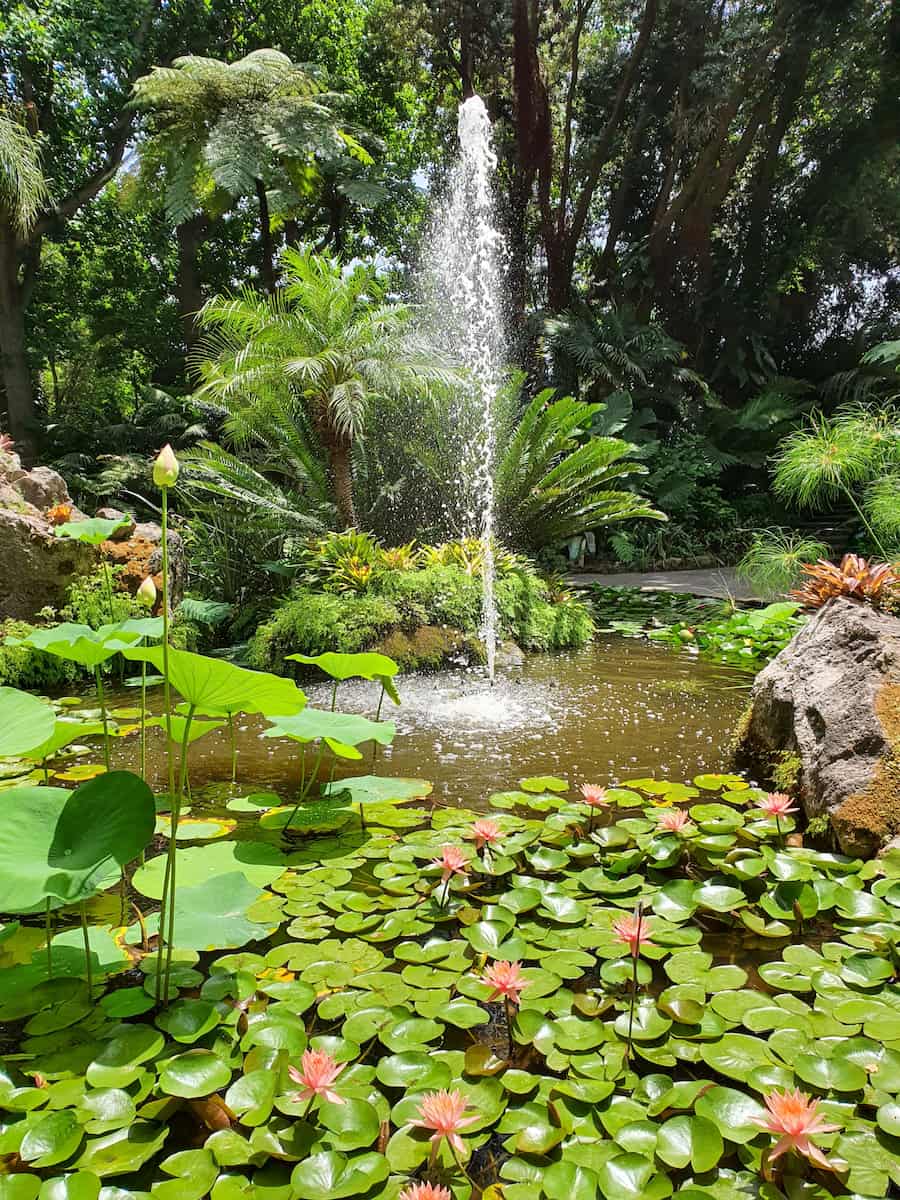 Giardini La Mortella Ischia Giardini La Mortella Ischia