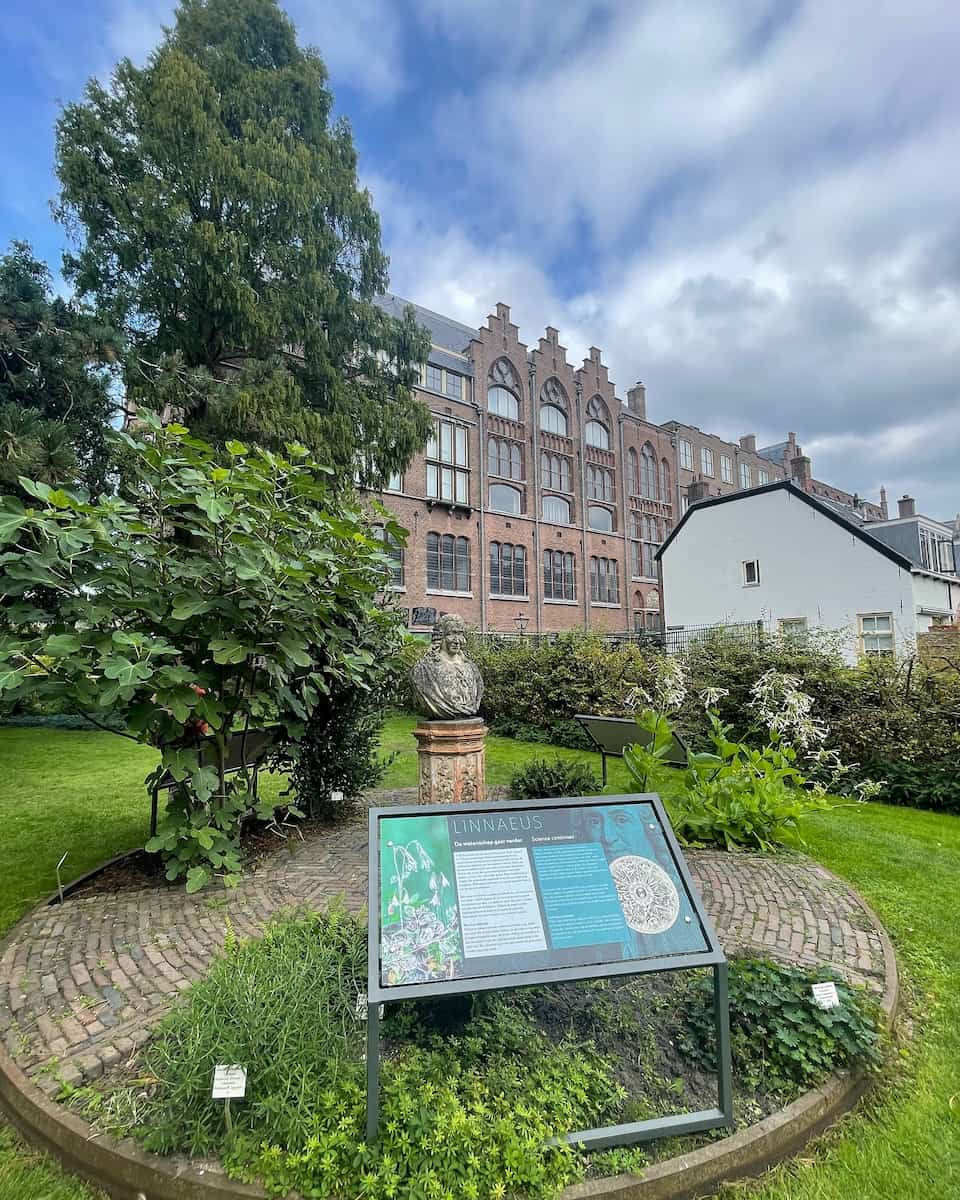 Hortus Botanicus, Leiden Hortus Botanicus, Leiden