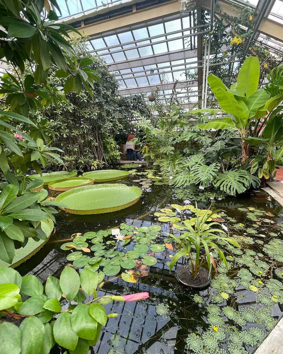 Hortus Botanicus, Leiden Hortus Botanicus, Leiden
