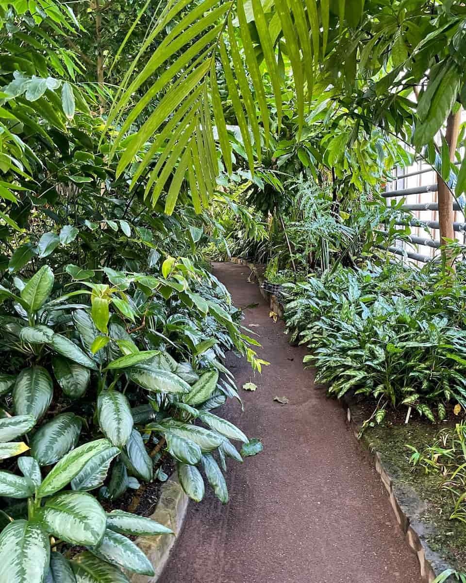 Botanical Gardens, Bonn Botanical Gardens, Bonn