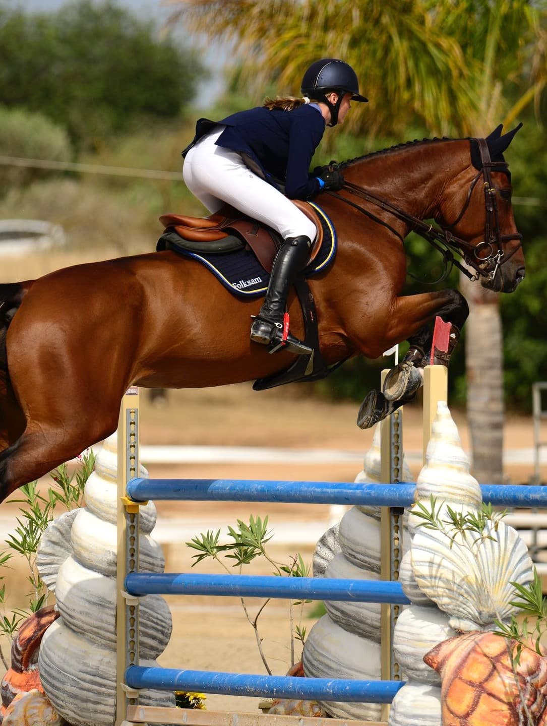 Vilamoura Equestrian Centre Vilamoura Equestrian Centre