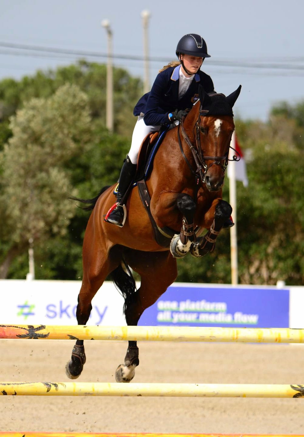 Vilamoura Equestrian Centre Vilamoura Equestrian Centre