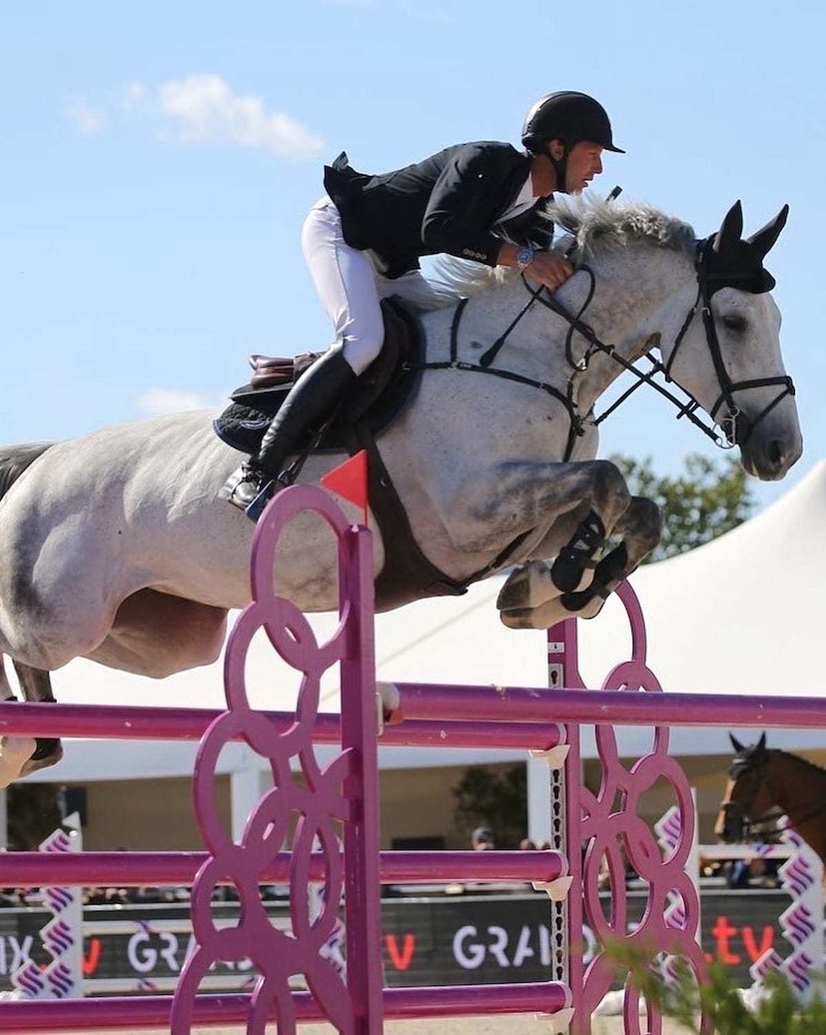 Vilamoura Equestrian Centre Vilamoura Equestrian Centre