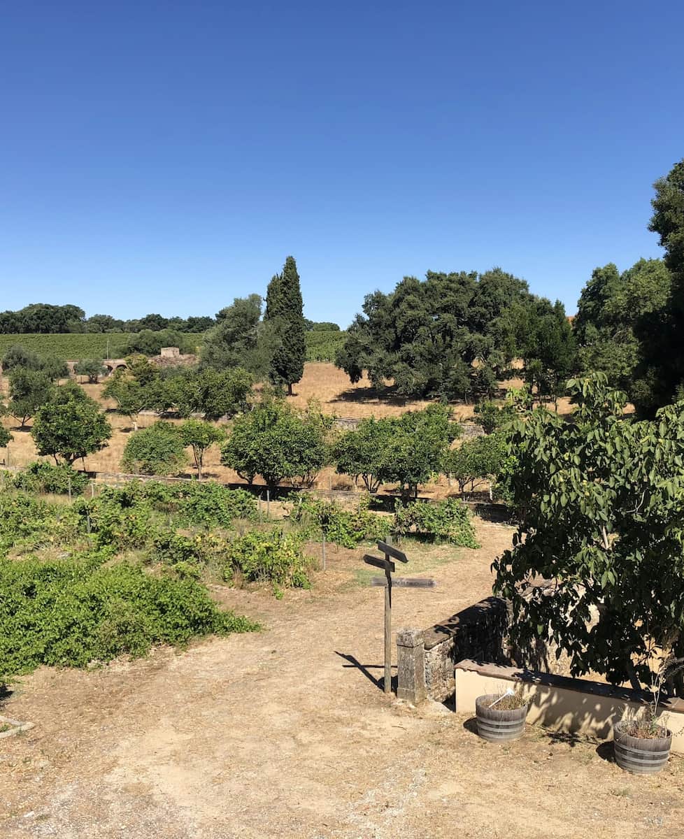 Wine Tasting Tours Evora Wine Tasting Tours Evora