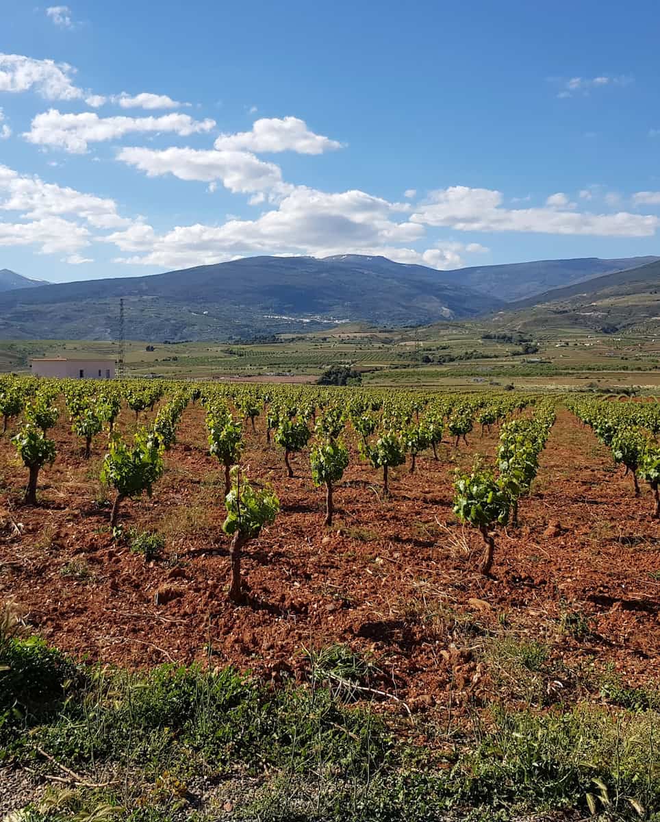 Andalusian Wine Route Ronda Andalusian Wine Route Ronda