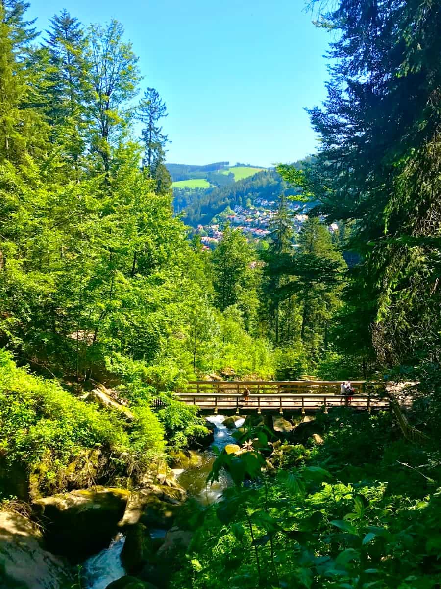 Black Forest, Germany Black Forest, Germany