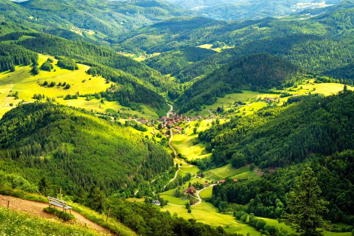 Black Forest, Germany Black Forest, Germany