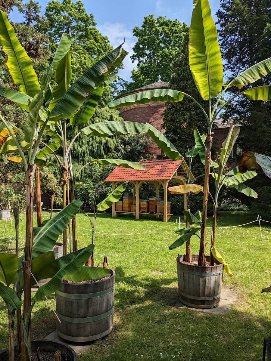 Botanical Gardens, Karlsruhe Botanical Gardens, Karlsruhe
