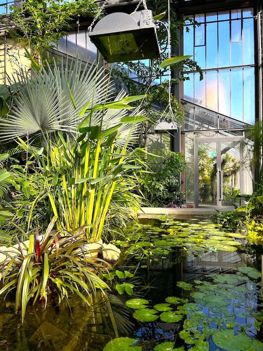 Botanical Gardens, Karlsruhe Botanical Gardens, Karlsruhe