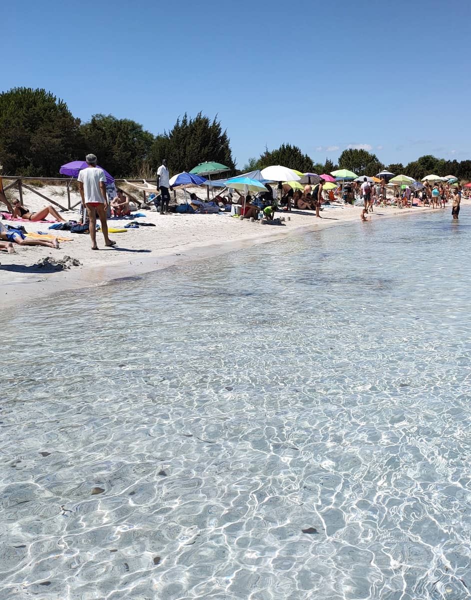 Cala Brandinchi, Olbia Cala Brandinchi, Olbia