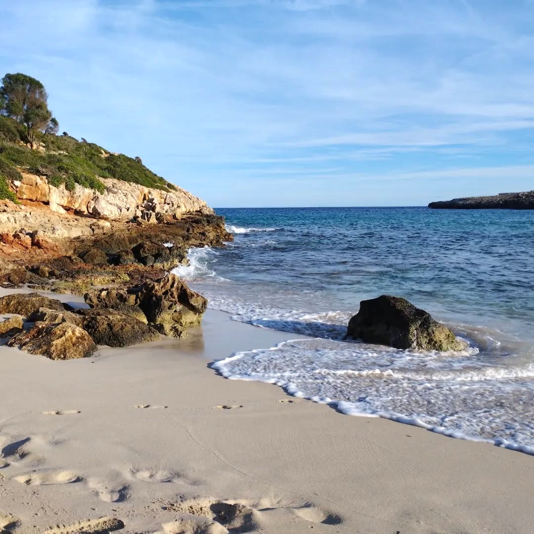 Cala Falco, Palma Nova Cala Falco, Palma Nova