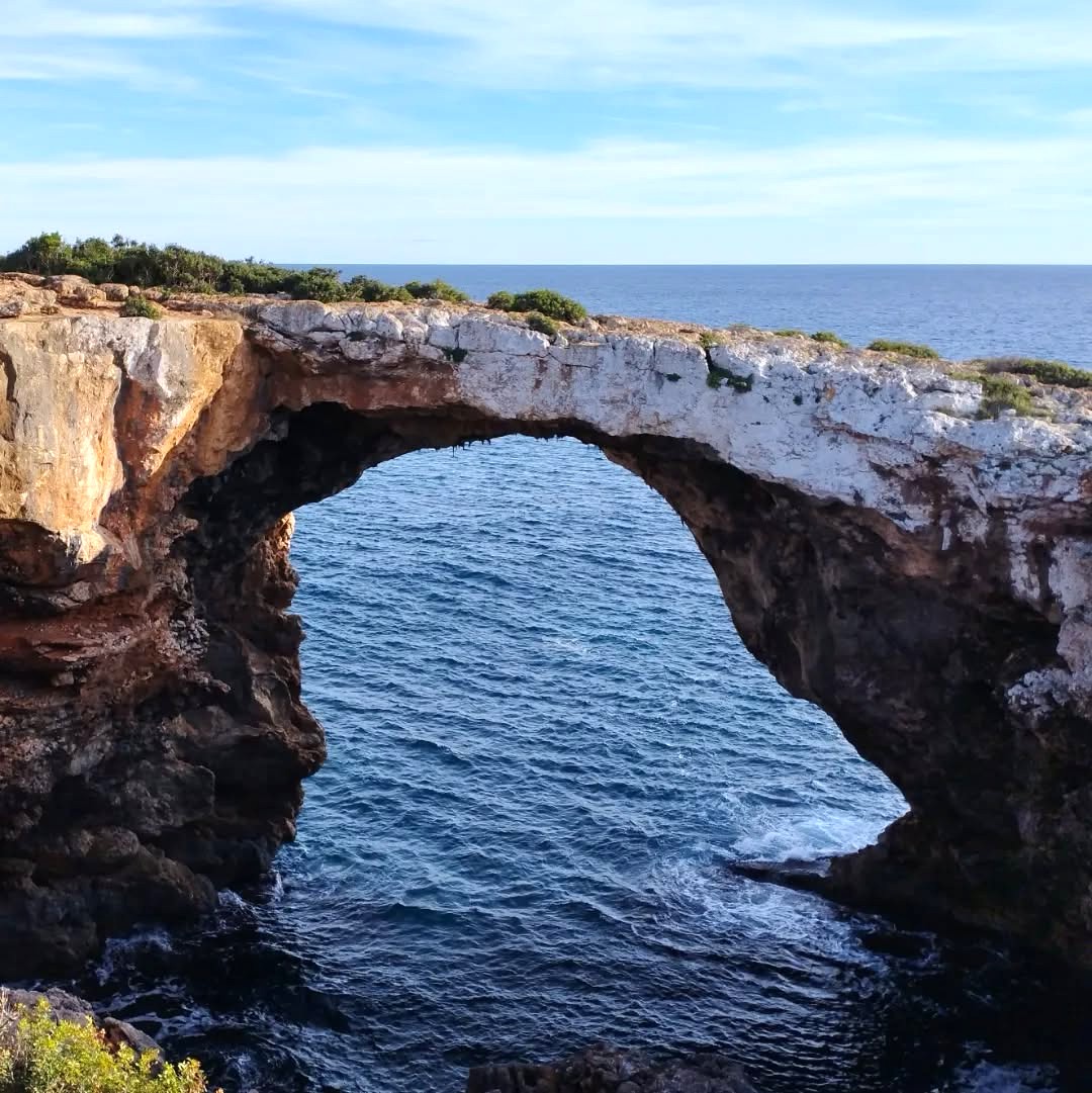 Cala Falco, Palma Nova Cala Falco, Palma Nova