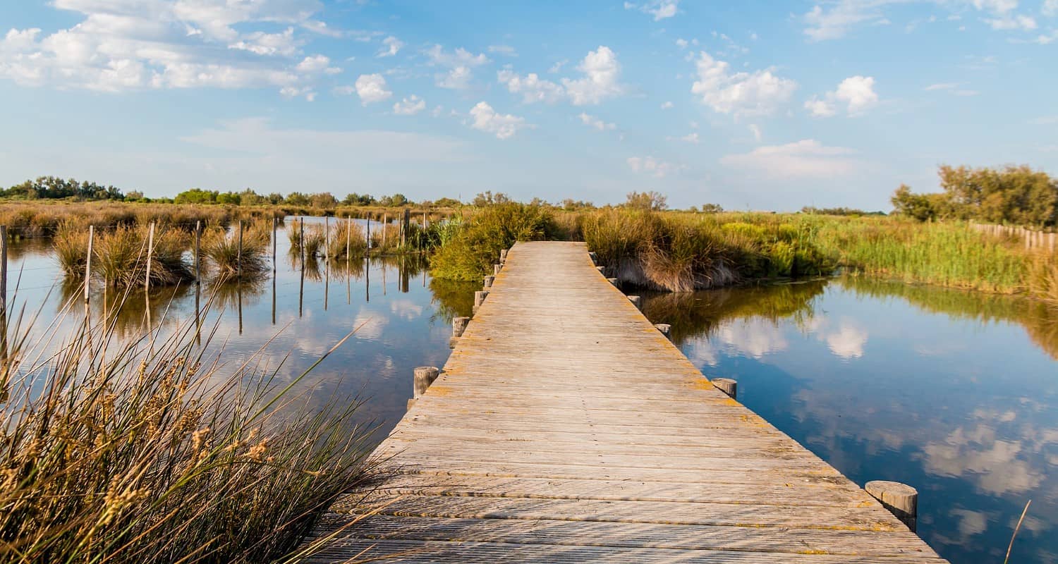 Camargue Regional Nature Park, Arles Camargue Regional Nature Park, Arles