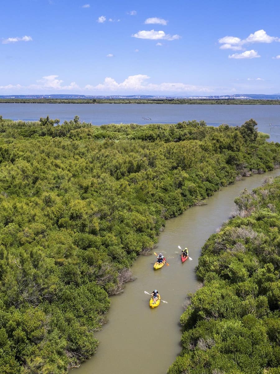 Camargue Regional Nature Park, Arles Camargue Regional Nature Park, Arles
