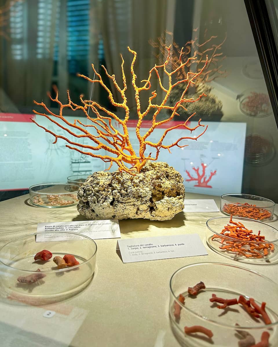 Coral Museum, Alghero Coral Museum, Alghero