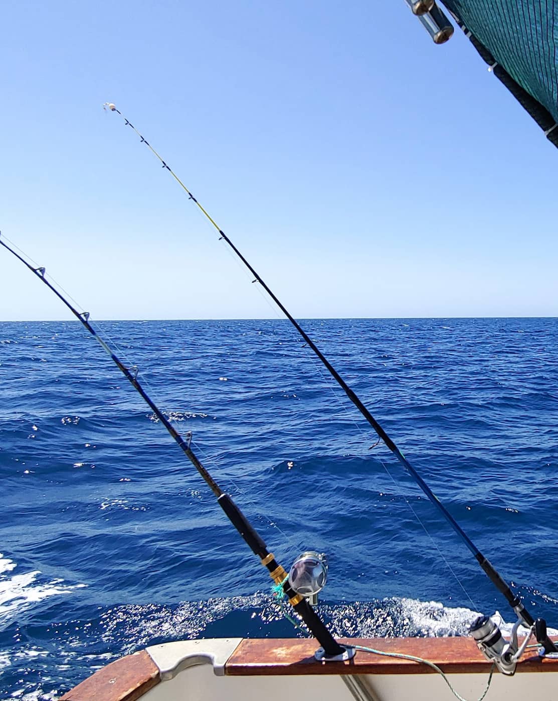 Fishing Heritage Alvor Fishing Heritage Alvor