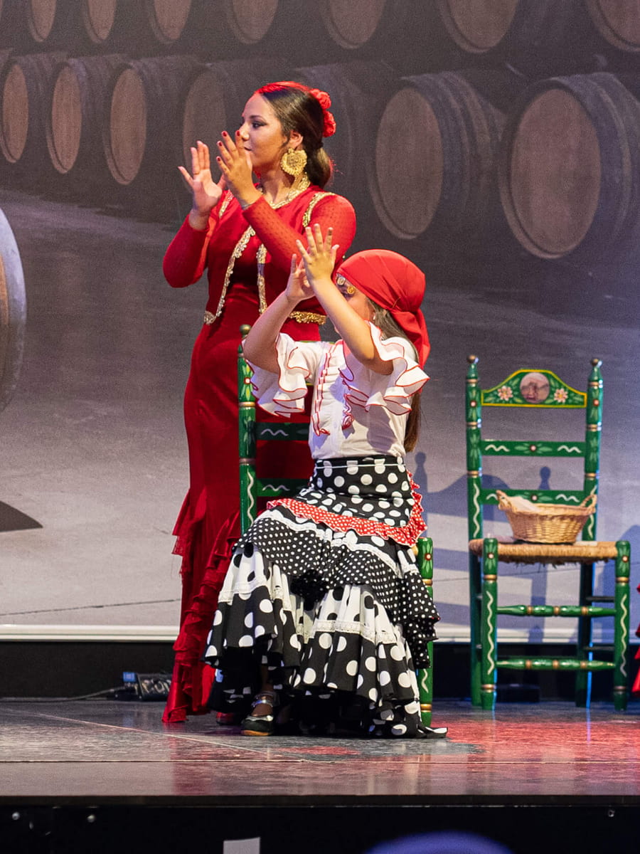 Flamenco Shows, Estepona Flamenco Shows, Estepona