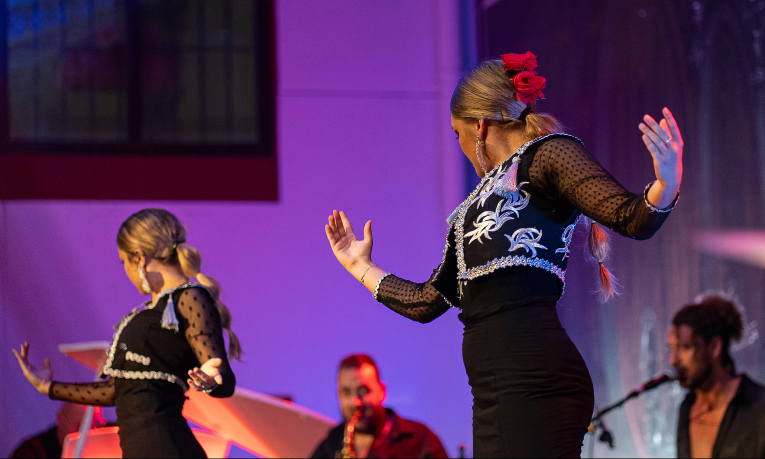 Flamenco Shows, Estepona Flamenco Shows, Estepona
