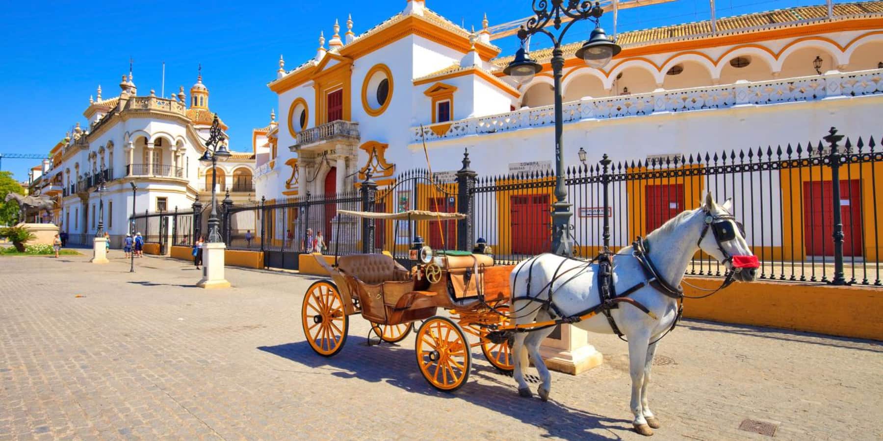 Horse Carriage, Estepona Horse Carriage, Estepona