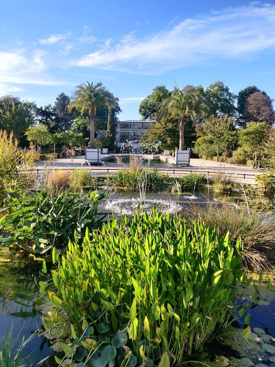 Jardin des Plantes, Rouen Jardin des Plantes, Rouen