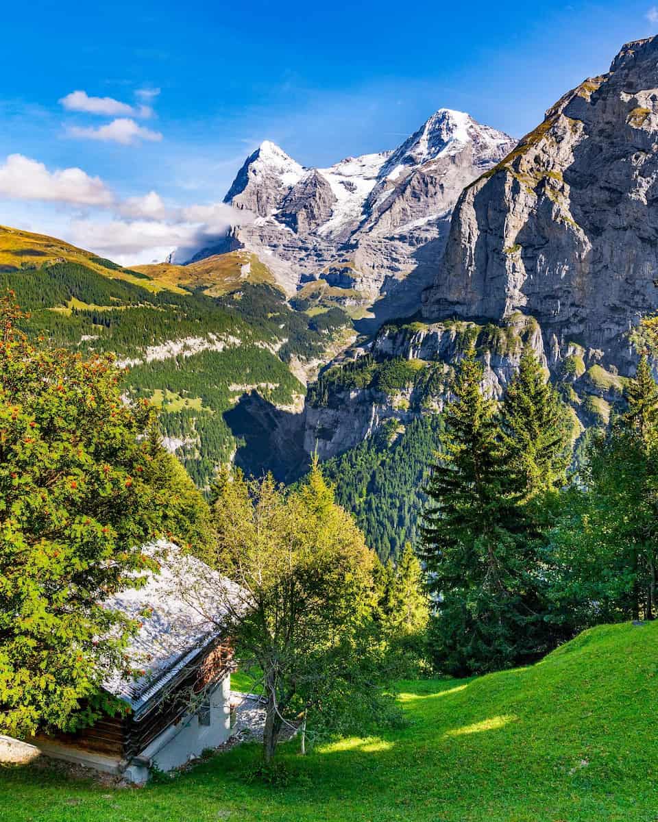 Jungfrau Jungfrau