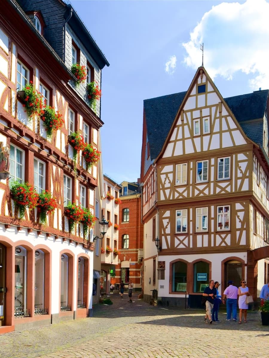 Kirschgarten, Mainz