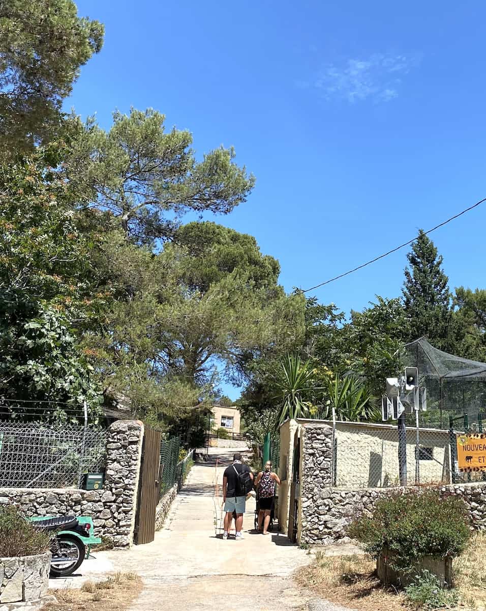 Mont Faron Zoo Toulon Mont Faron Zoo Toulon