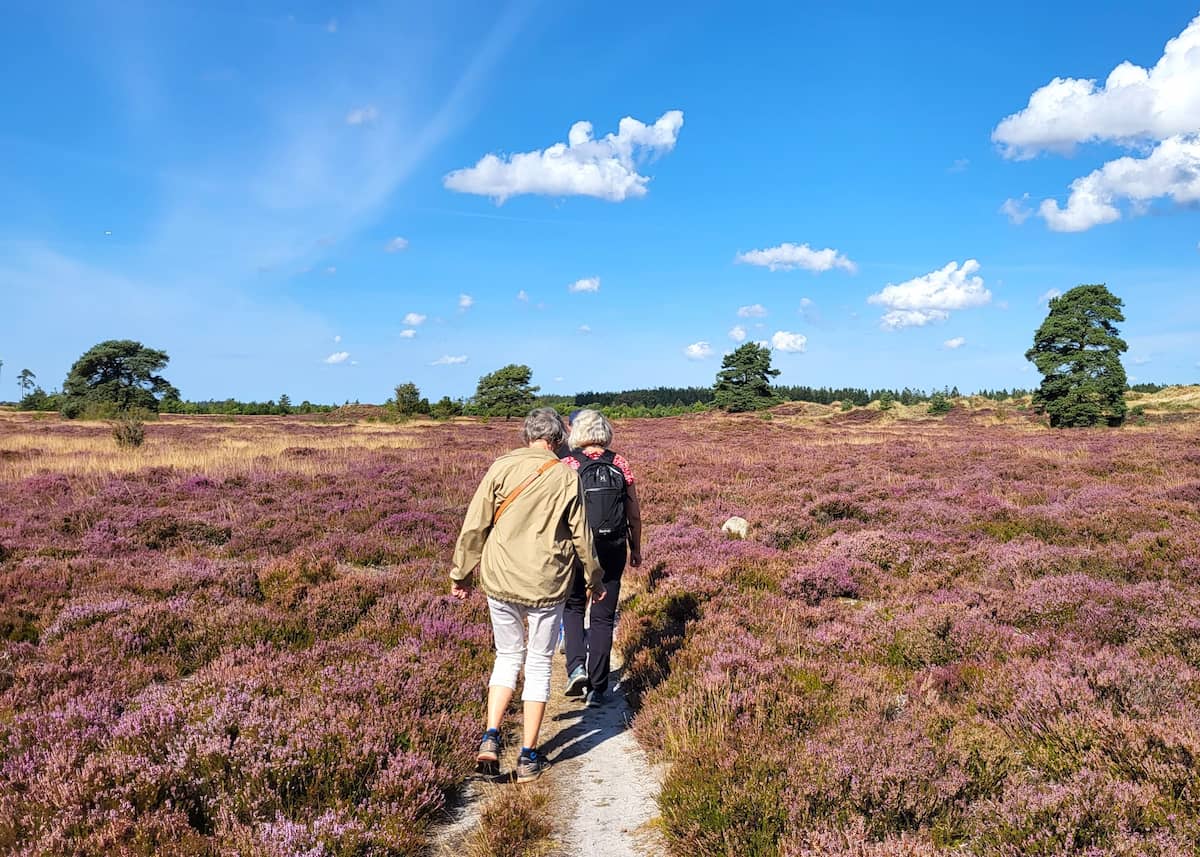 Nature Trails & Hiking Areas around Billund Nature Trails & Hiking Areas around Billund