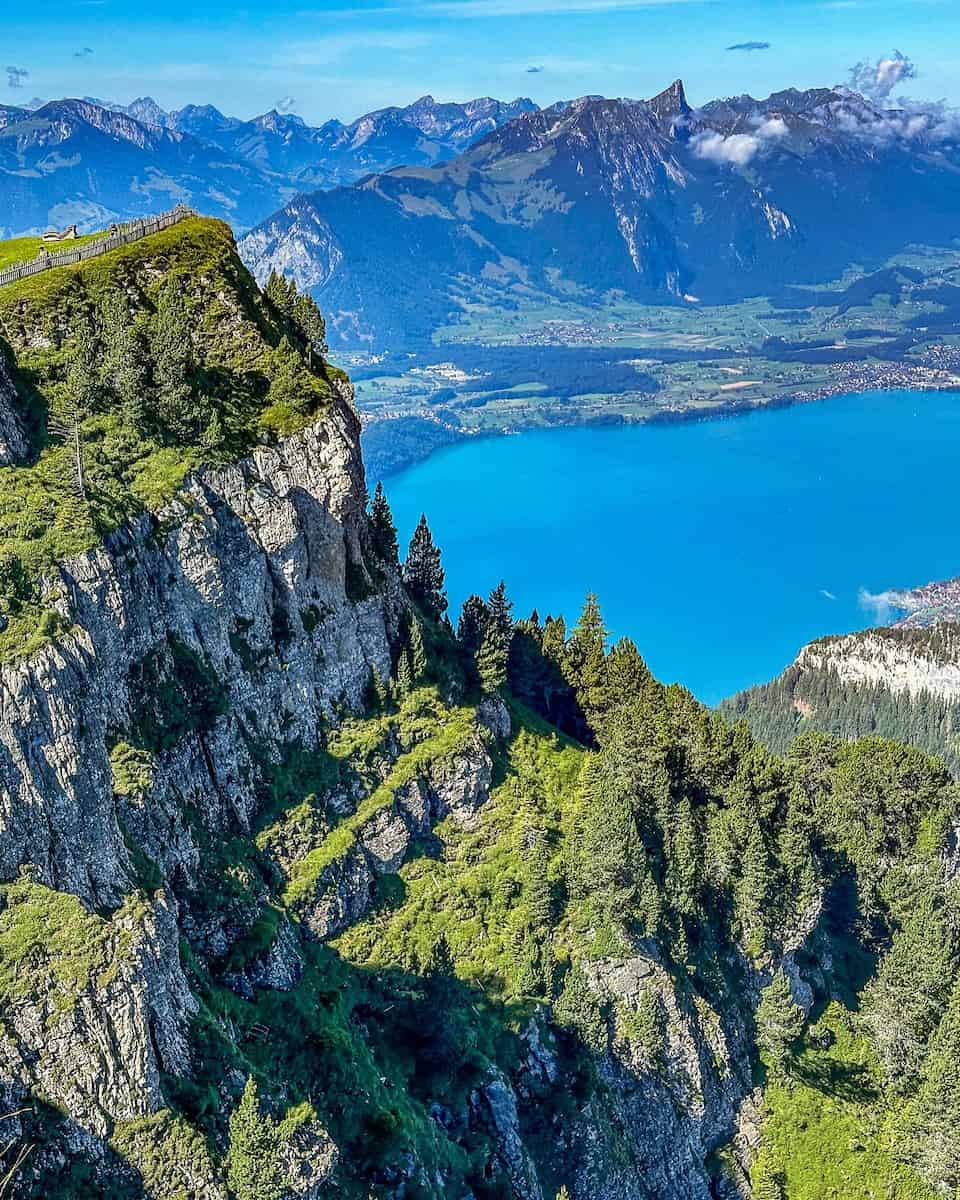 Niederhorn Mountain Niederhorn Mountain