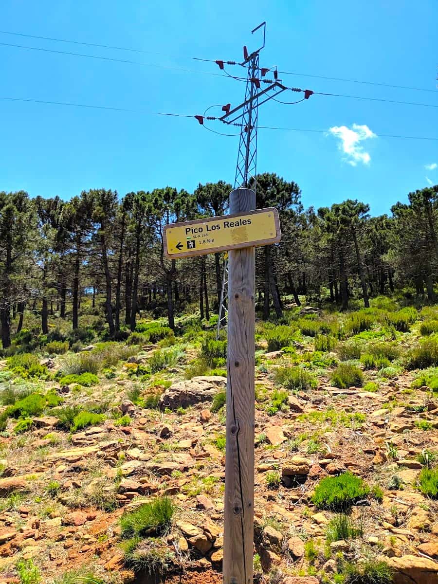 Pico de los Reales Route, Estepona Pico de los Reales Route, Estepona