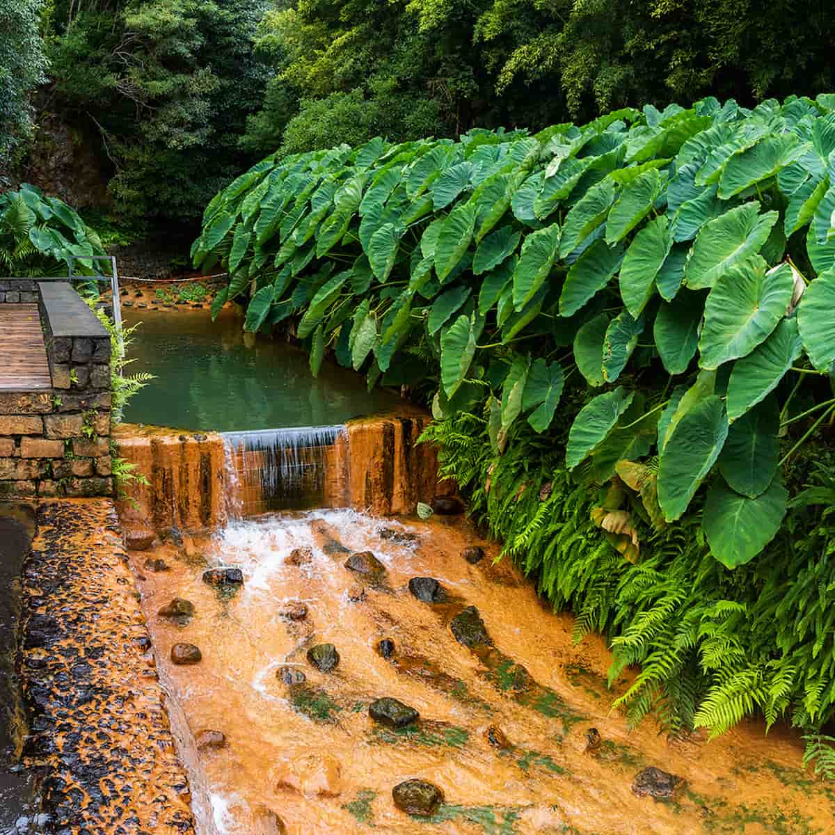 Poça da Dona Beija, Sao Miguel, Azores Poça da Dona Beija, Sao Miguel, Azores