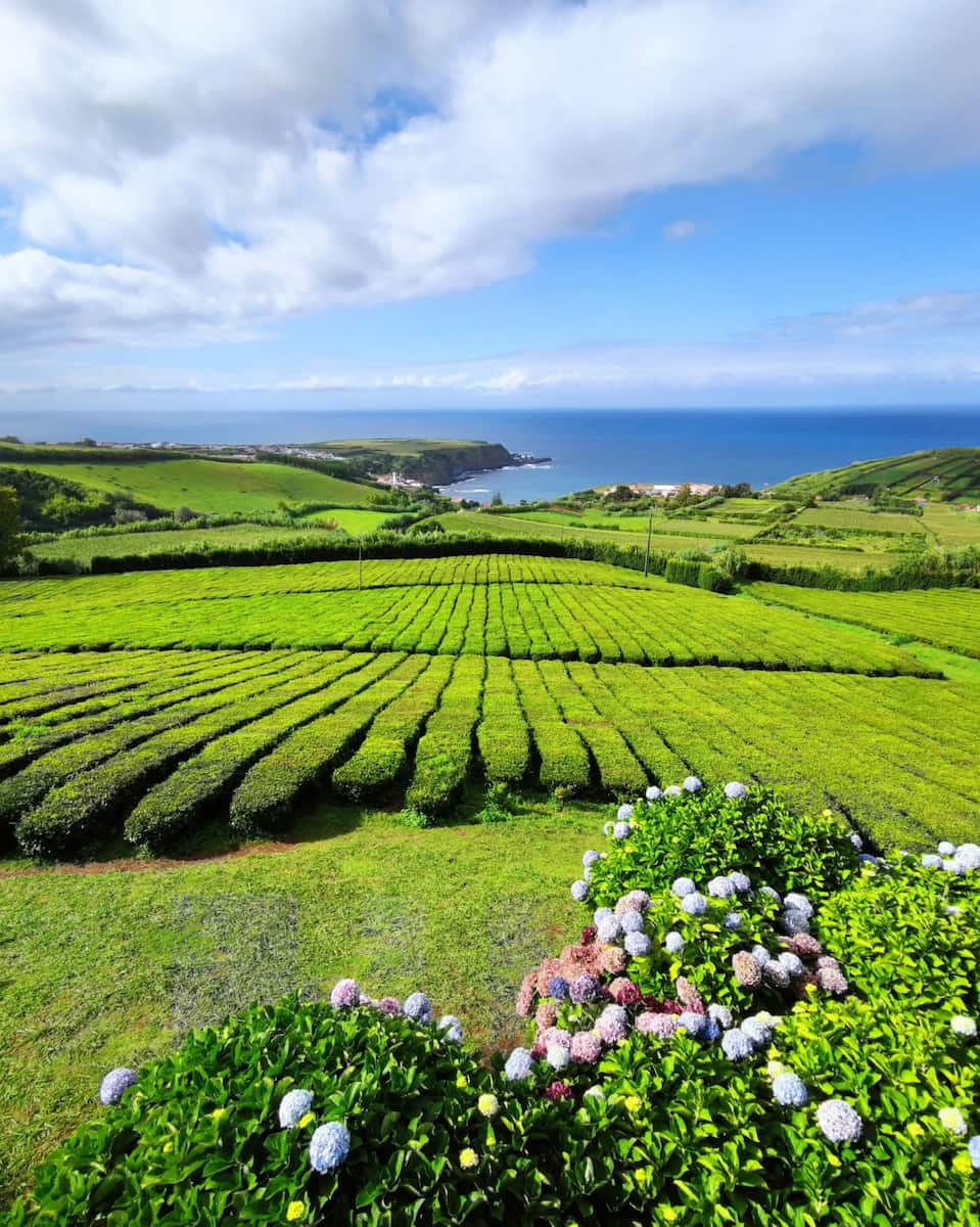 Porto Formoso, Sao Miguel, Azores Porto Formoso, Sao Miguel, Azores