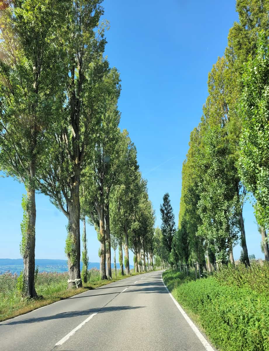 Reichenau Island Constance Reichenau Island Constance