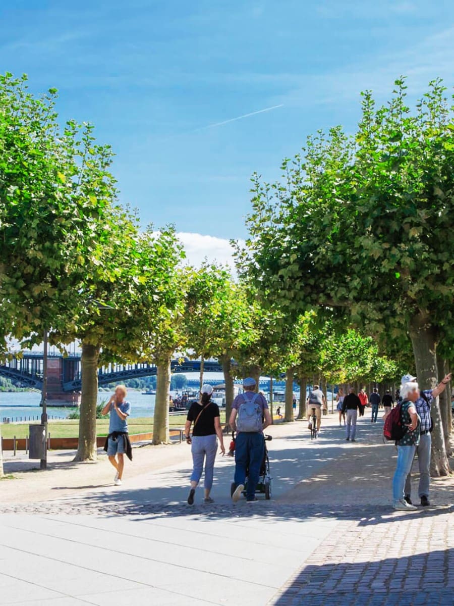 Rhine Promenade, Mainz Rhine Promenade, Mainz