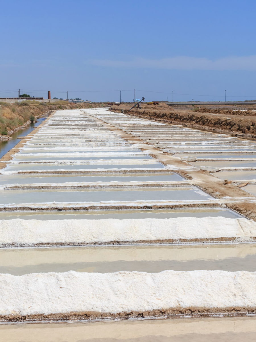 Salt Pans of Tavira Salt Pans of Tavira