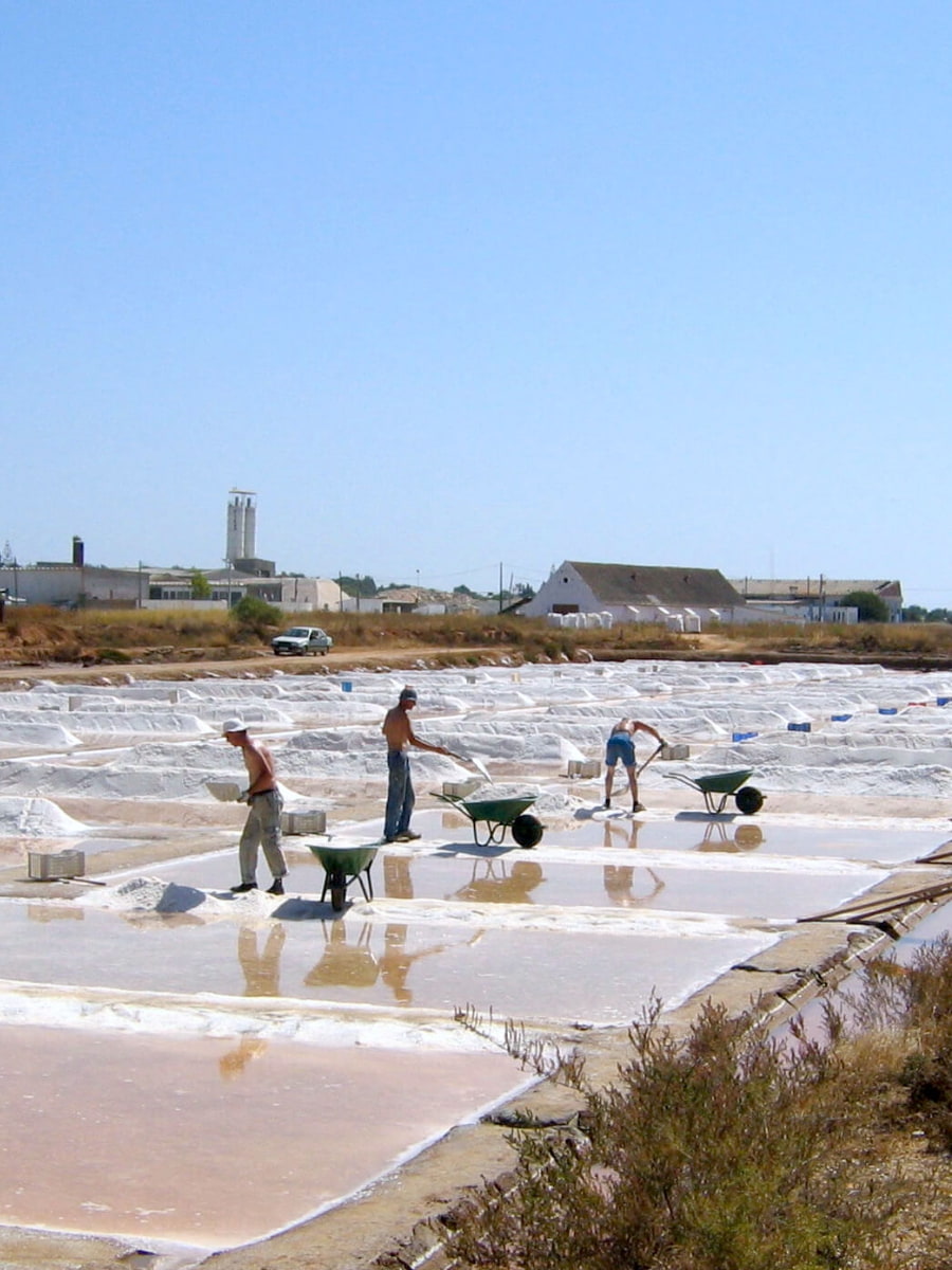 Salt Pans of Tavira Salt Pans of Tavira