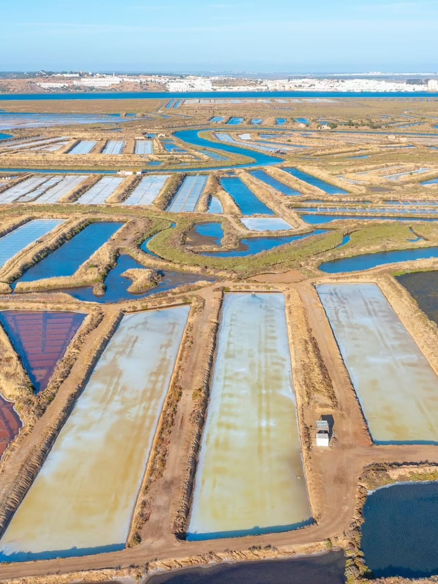 Salt Pans of Tavira Salt Pans of Tavira