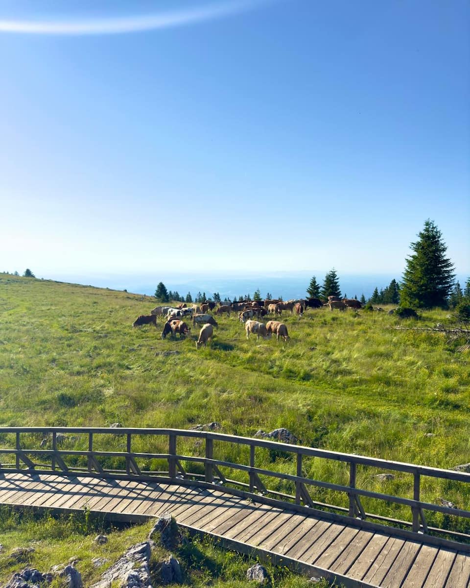 Schöckl Mountain Schöckl Mountain
