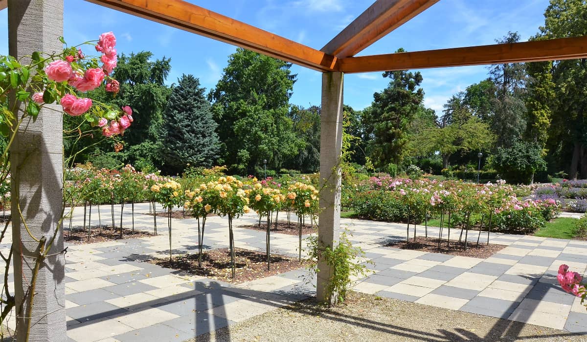 Stadtpark, Mainz Stadtpark, Mainz