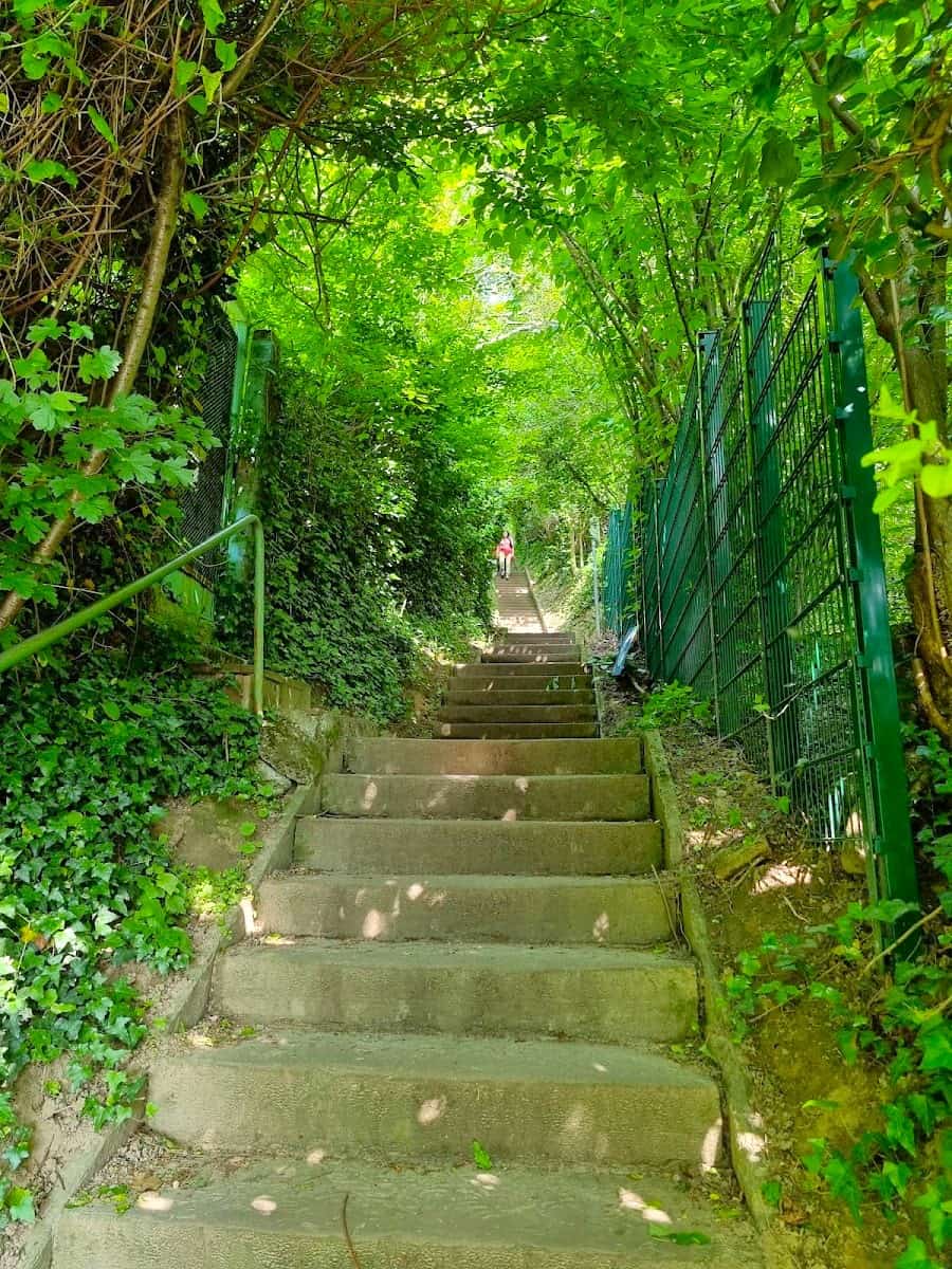 Turmberg Hill, Karlsruhe Turmberg Hill, Karlsruhe